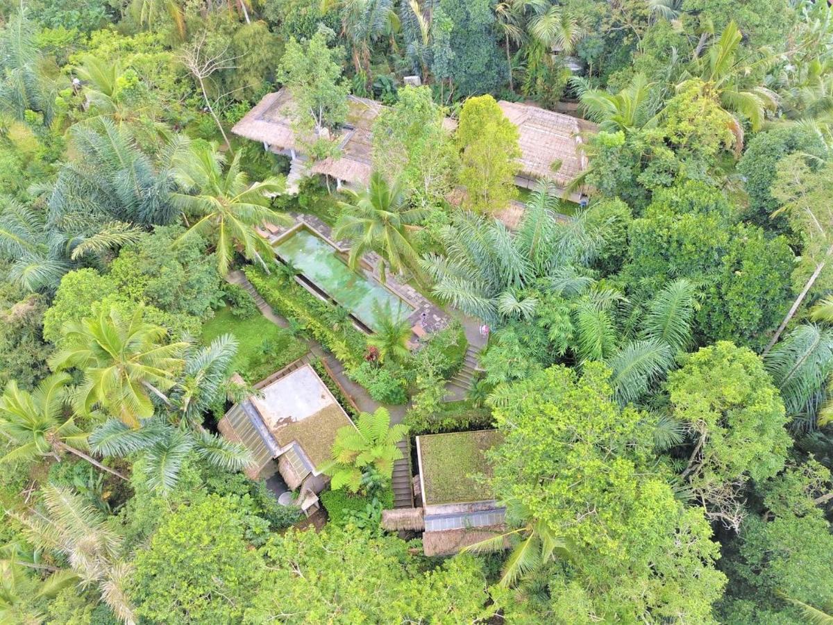 Villa Rimba Ubud Tegallalang  Exterior foto