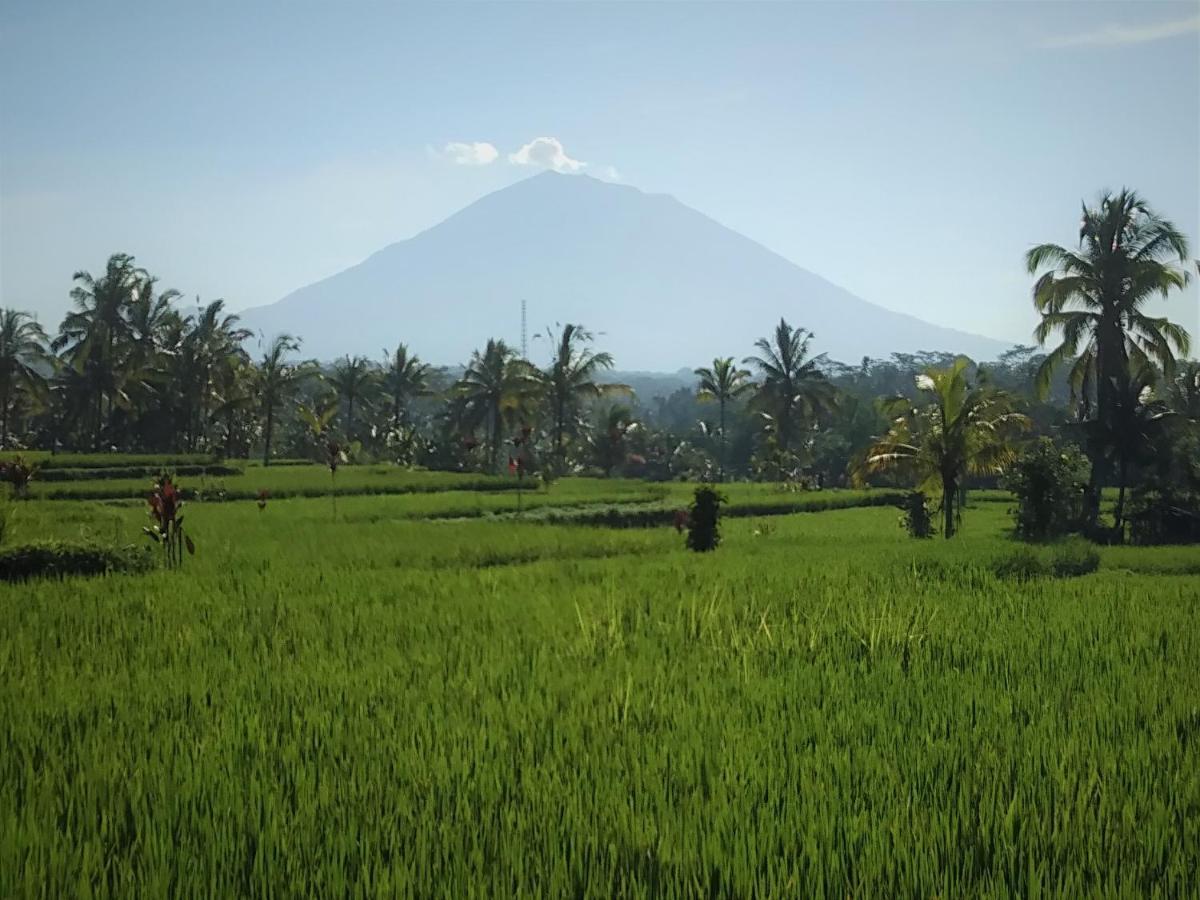 Villa Rimba Ubud Tegallalang  Exterior foto